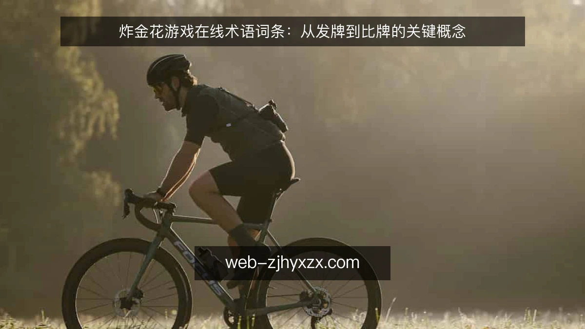 炸金花游戏在线术语词条：从发牌到比牌的关键概念